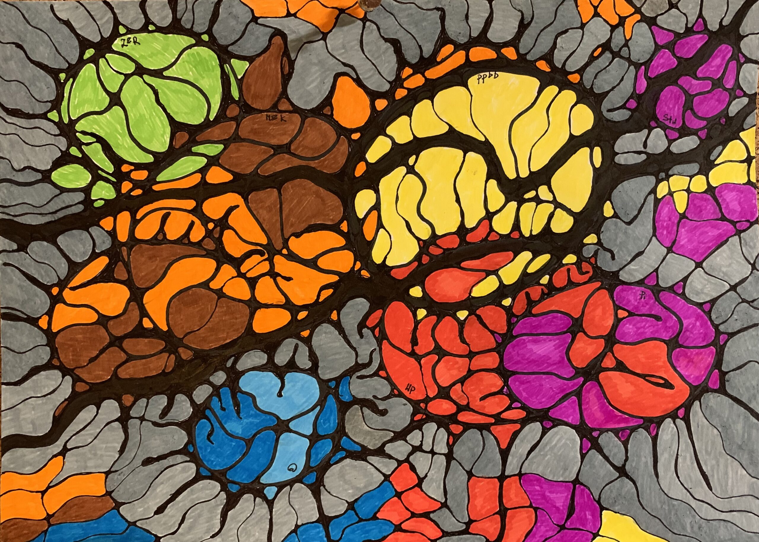 NeuroGrafika Karolina Kowal